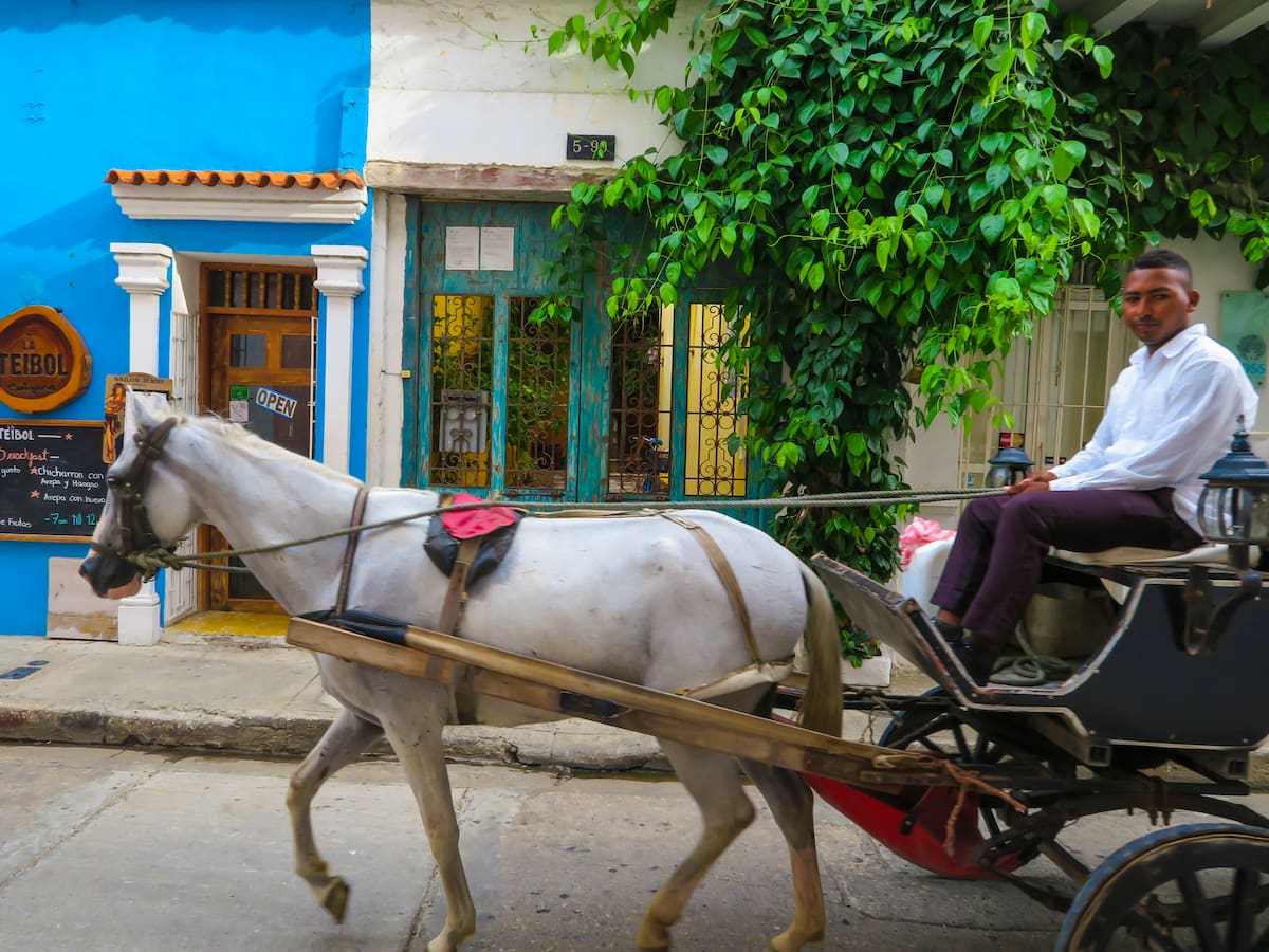 Los cocheros no seguirán usando caballos en el 2025: alcalde de Cartagena