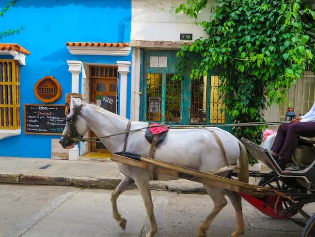 Cochero local conduciendo un carruaje tirado por caballos en las calles el 14 de agosto de 2016 en Cartagena, Colombia. Foto de EyesWideOpen/Getty Images.