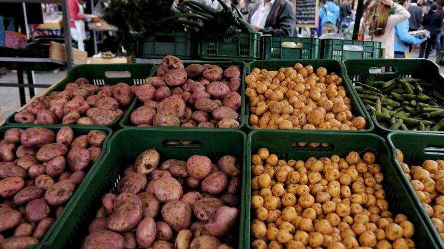 Este es el directorio publicado por el IPES. Foto: Colprensa