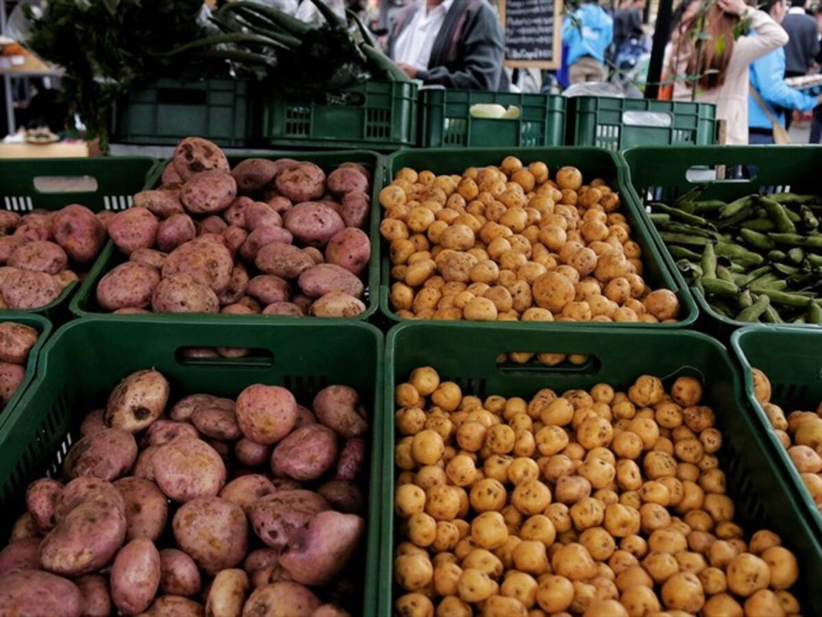 Estos son los teléfonos para pedir domicilios a las plazas distritales de mercado