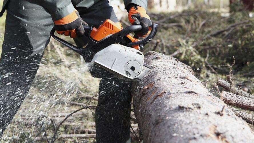 Se busca afectar a las estructuras criminales responsables de la tala indiscriminada en Amazonas, Putumayo, Caquetá, Guaviare, Guainía, Vaupés y Meta. Foto: Getty Images