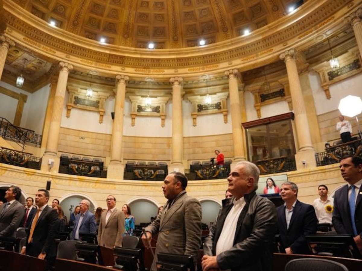 Primicia | MOE advierte estancamiento en participación de mujeres en el Congreso 2026