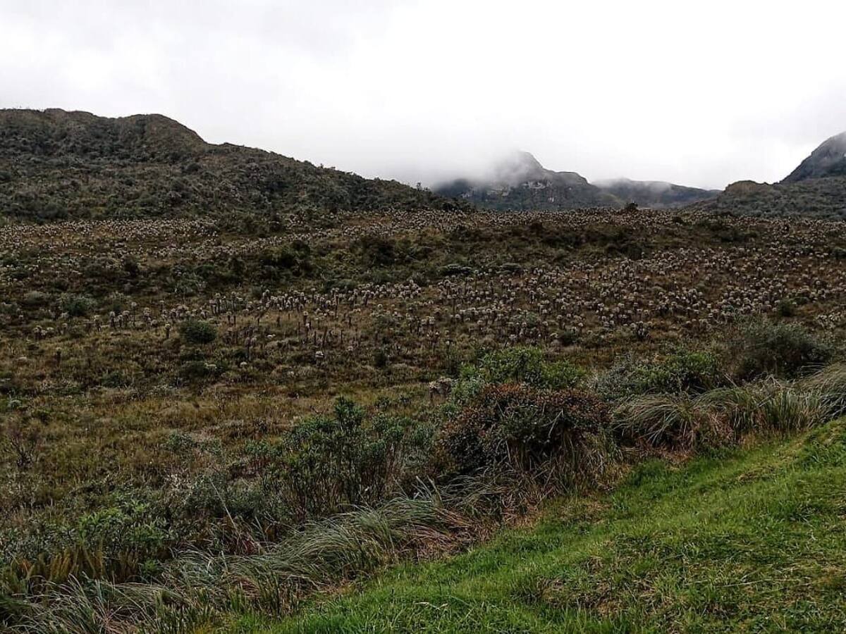 13 indígenas se encuentran desaparecidos en el páramo Guanacas, oriente del Cauca