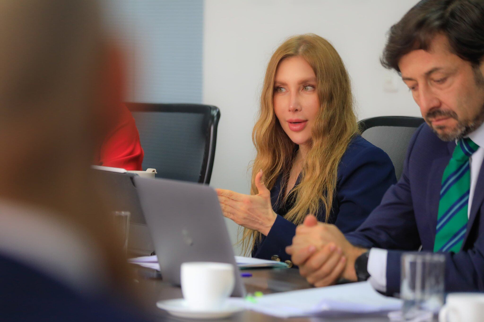 Diana Morales, ministra de Comercio. Foto: Twitter Diana Morales, ministra de Comercio.