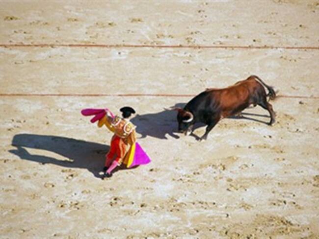 ¿Qué opina de la decisión de la Corte Constitucional de negarle a los alcaldes la posibilidad de prohibir las corridas de toros?