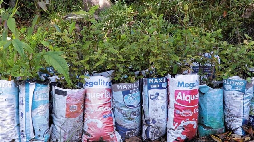 La campaña se realizará en los 87 municipios de la jurisdicción.. Foto: corpoboyacá