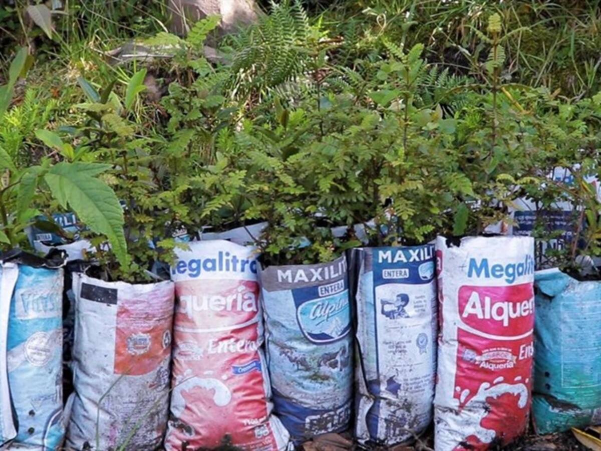 Corpoboyacá recolectará 20 mil bolsas de leche para convertirlas en materia prima