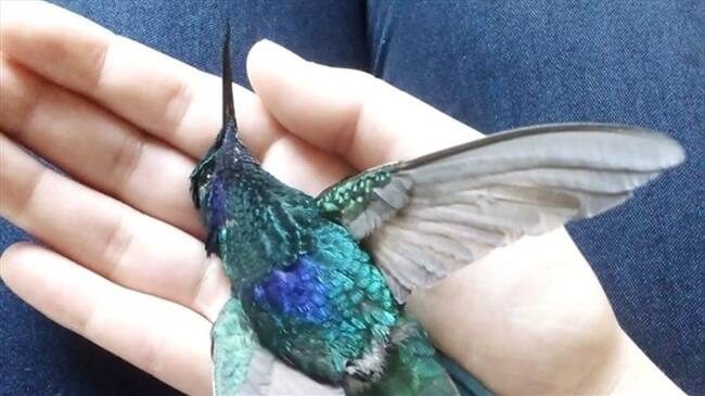 La Unidad Administrativa Especial de Servicios Públicos ya respondió a las denuncias . Foto: Facebook: Edna M Pinzón Rodríguez