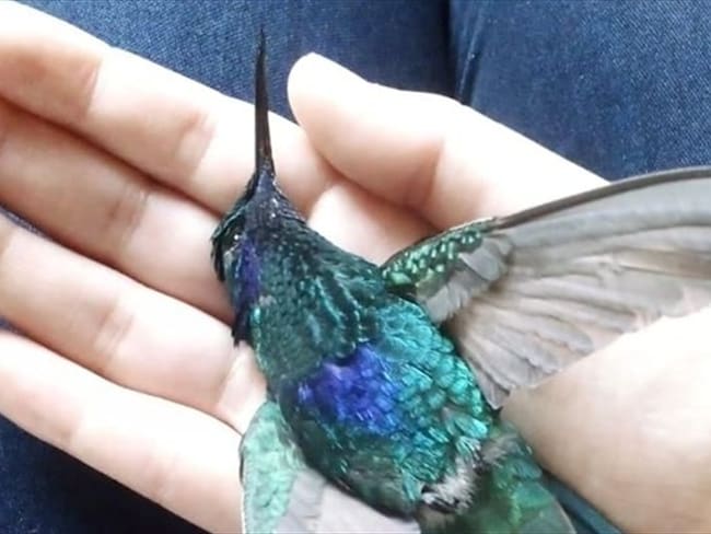 La Unidad Administrativa Especial de Servicios Públicos ya respondió a las denuncias . Foto: Facebook: Edna M Pinzón Rodríguez