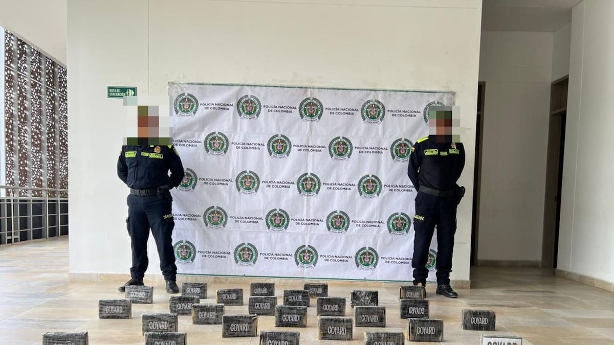 Policía Nacional incautó 30.000 dosis de clorhidrato de cocaína en zona rural de Santa Marta