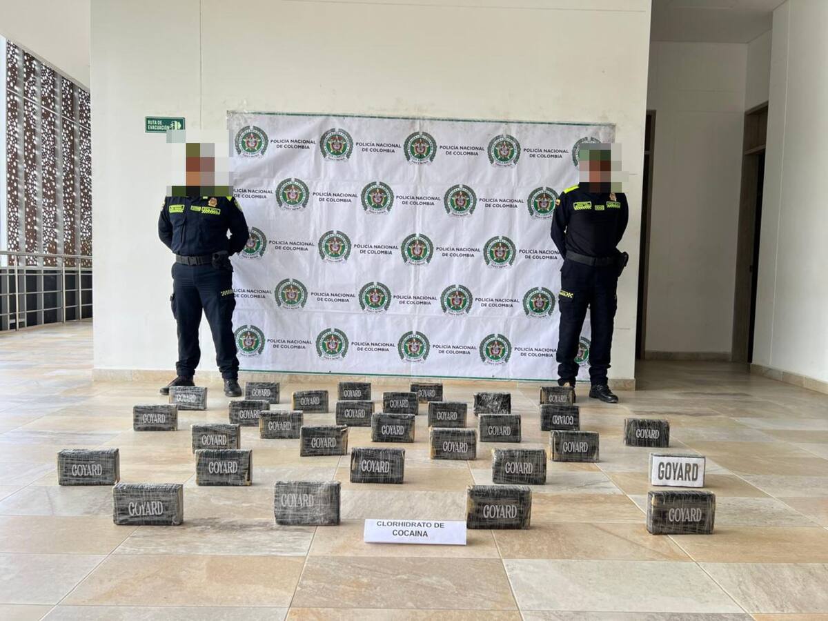 Policía Nacional incautó 30.000 dosis de clorhidrato de cocaína en zona rural de Santa Marta