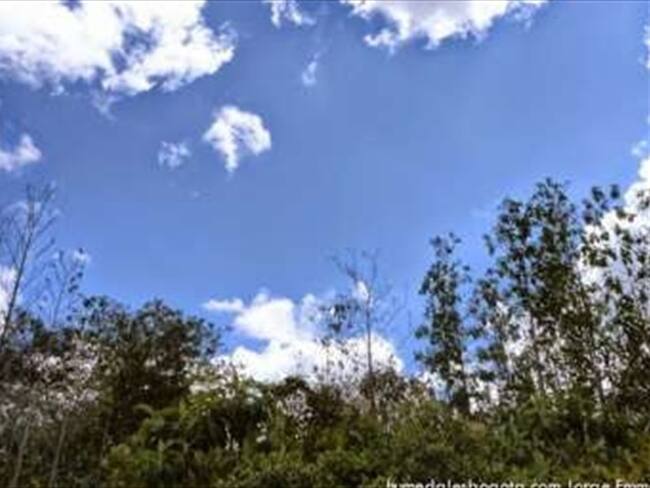 Cielo despejado en la Reserva Van der Hammen. Foto cortesía: Jorge Escobar de Humedales Bogotá. Foto: Colprensa