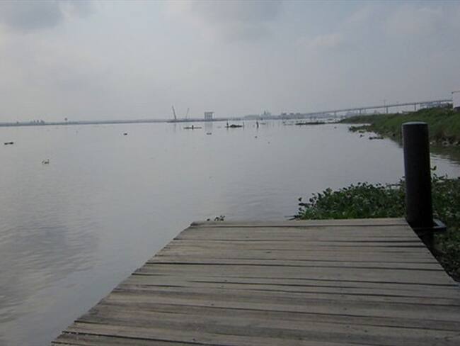 Navelena SAS . Foto: Colprensa