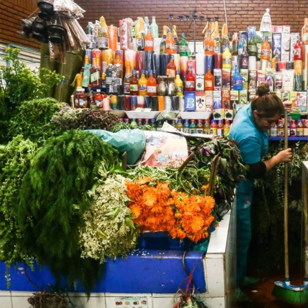 Inflación en agosto mantiene su senda de crecimiento y se ubica en 10,84%