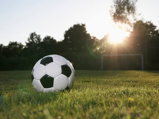 Imagen de referencia.