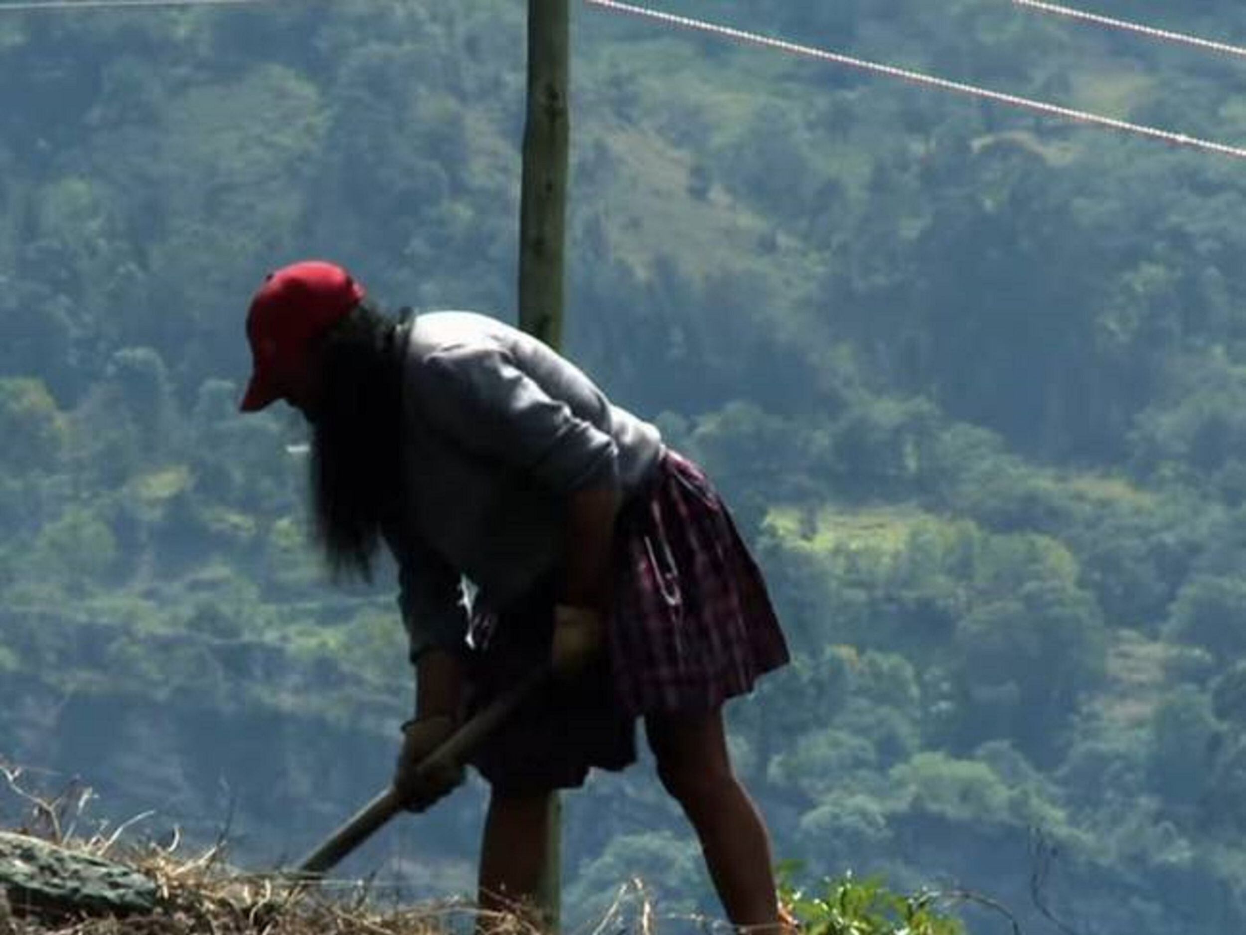 Foto: Pantallazo documental. 