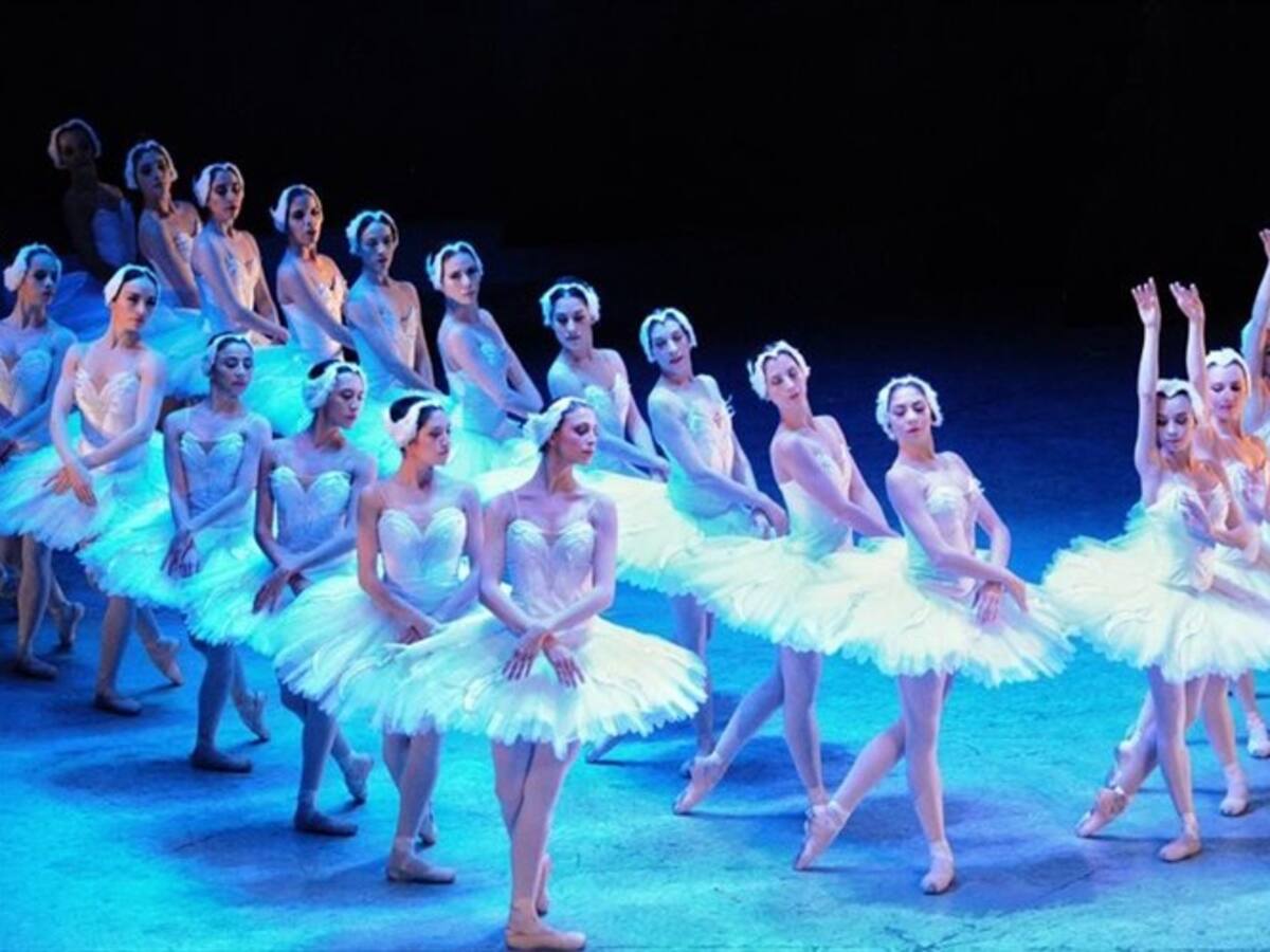 Llega el "lago de los cisnes" a Bogotá