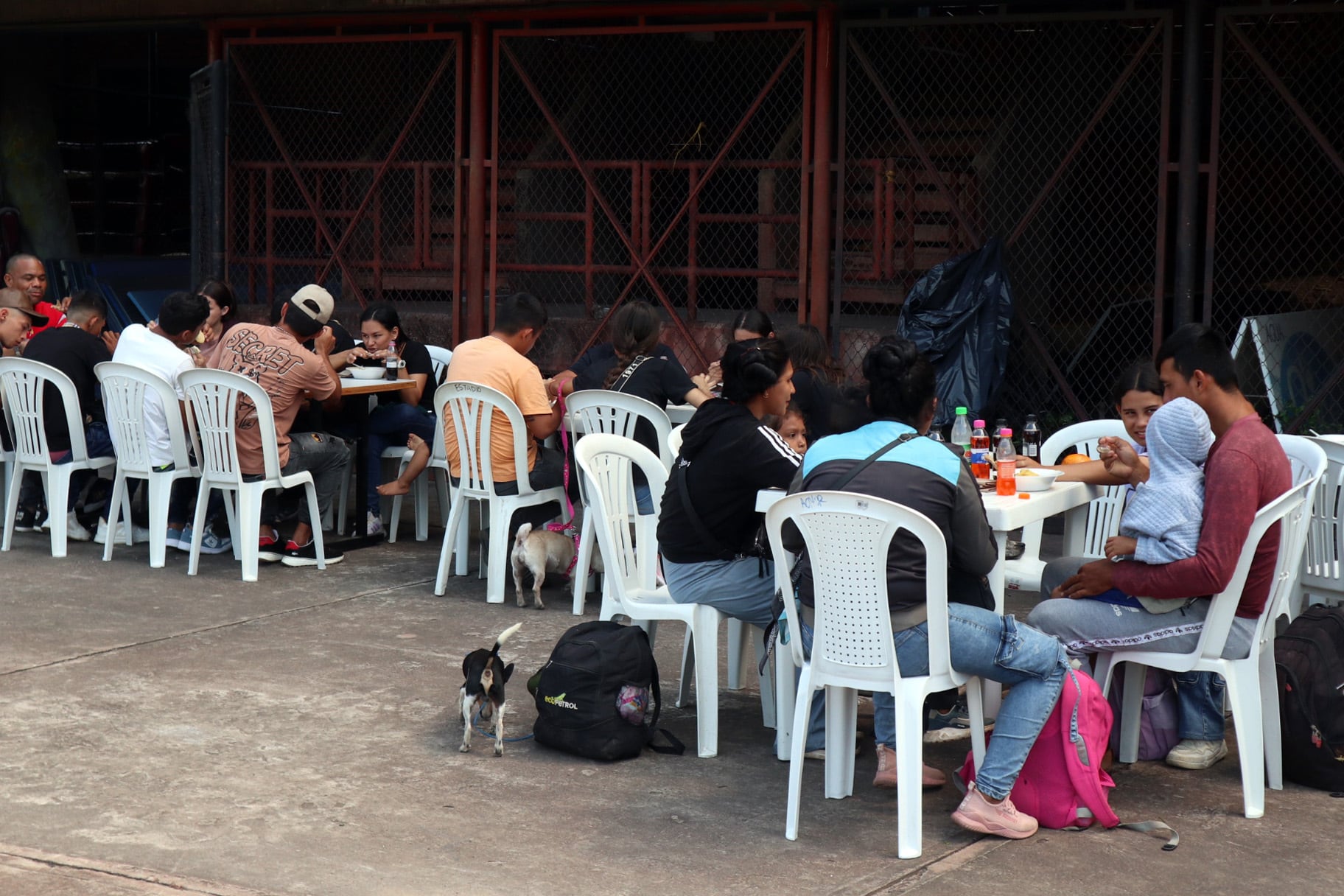 Desplazados por la violencia en el Catatumbo. / Foto: EFE/ Mario Caicedo.