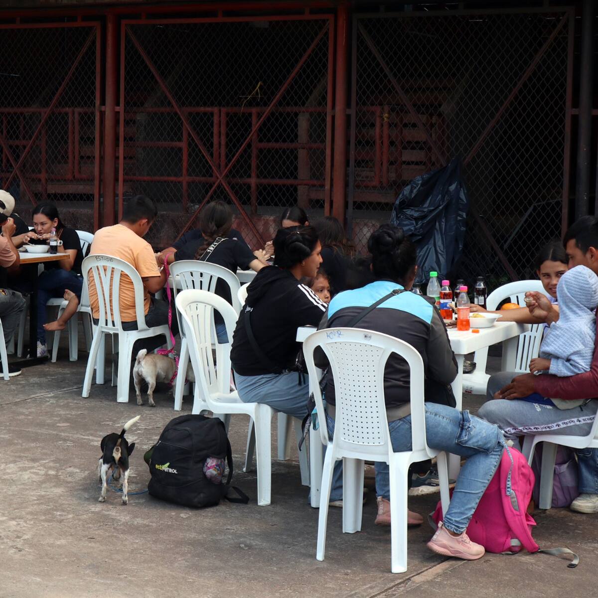 “Hay 102 firmantes desplazados y 5 asesinados”: ARN alerta crisis humanitaria en Catatumbo