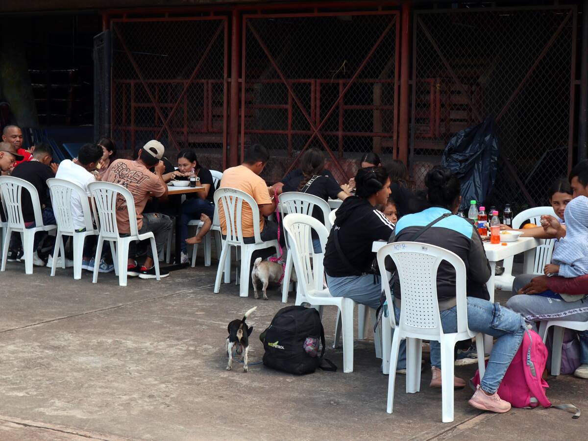 “Los niños no tienen la culpa de esta tragedia”: víctima de desplazamiento en Catatumbo