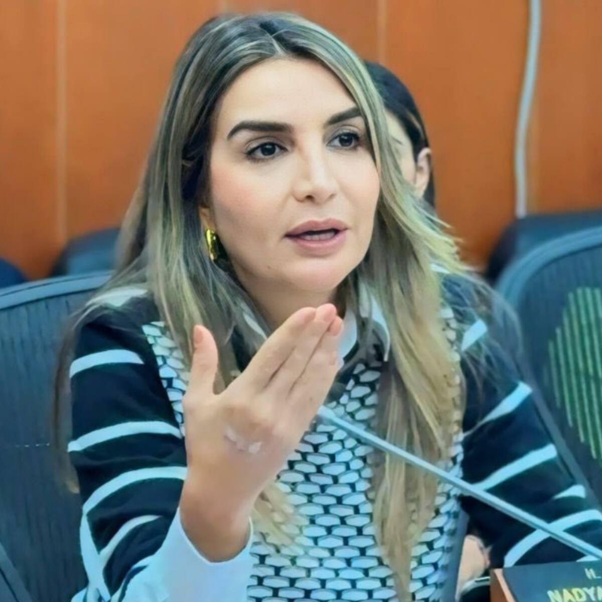 Al Gobierno no le preocupa la salud de los colombianos sino su campaña del 2026: senadora Nadia Blel