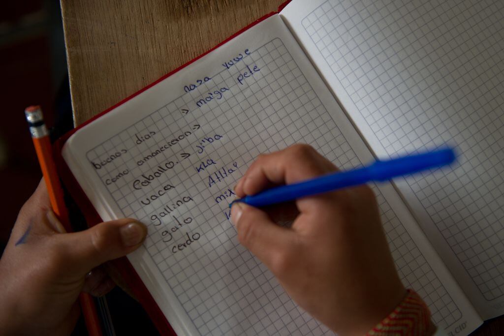 Imagen de referencia de estudiante. Foto: Getty Images.