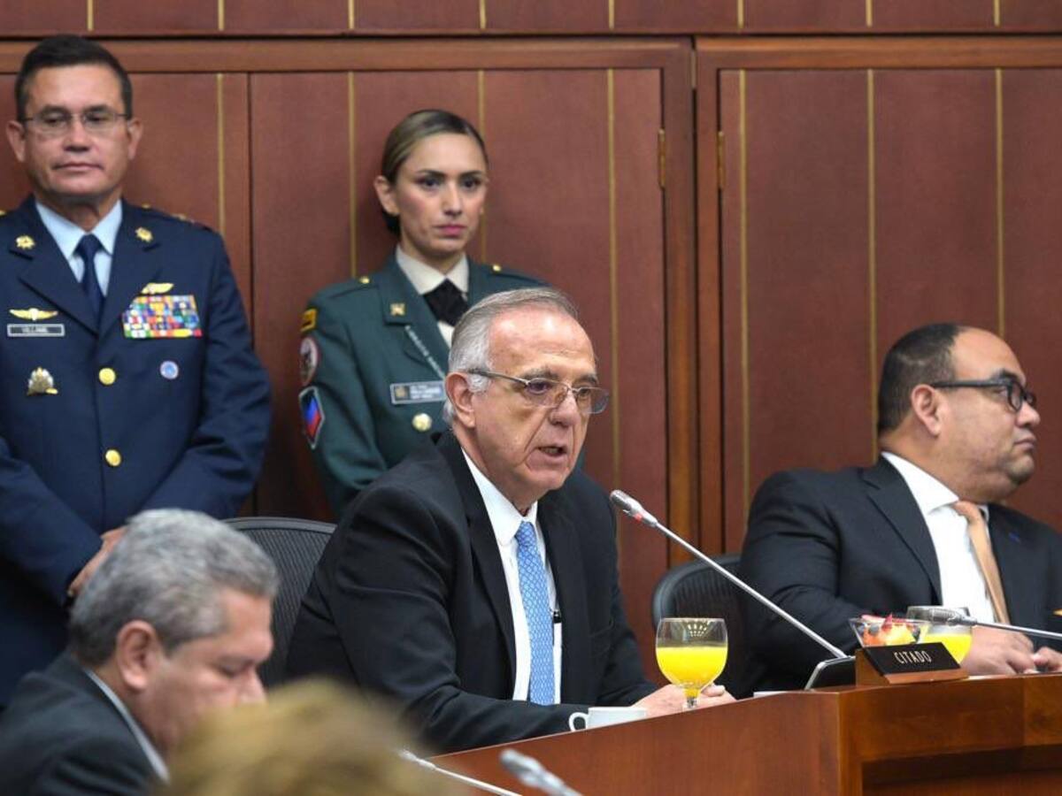 MinDefensa no descarta que policías detenidos también puedan ser gestores de paz