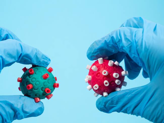 Nueva variante del coronavirus en Sudáfrica: la OMS se reúne para evaluar la situación