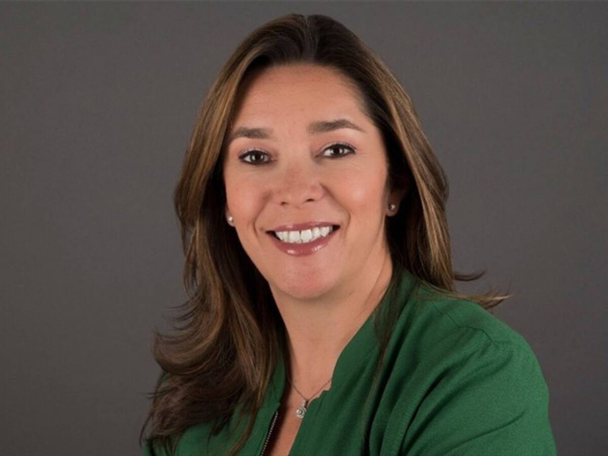 El ataque a compañías mineras se debe a que estas traen legalidad: Minminas