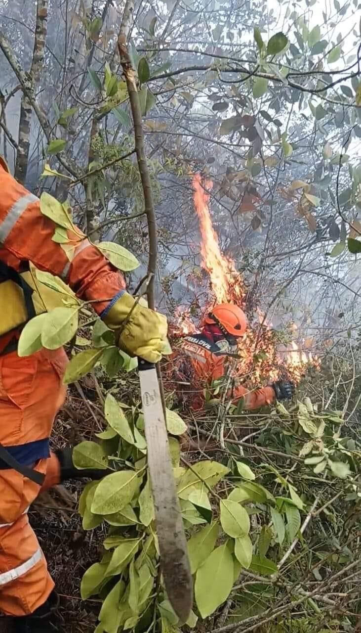Incendio forestal en Bochalema, Norte de Santander. / Foto: Defensa Civil Bochalema.
