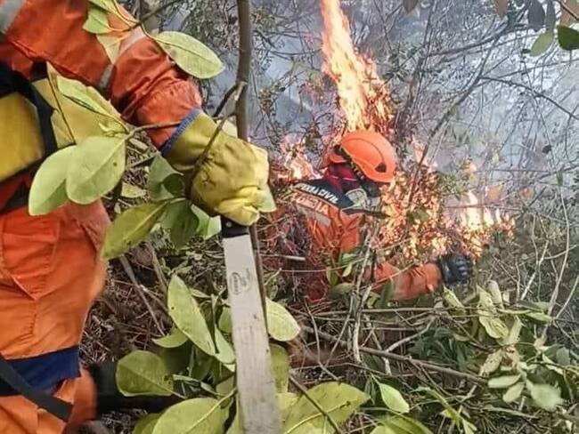 Incendio forestal en Bochalema, Norte de Santander. / Foto: Defensa Civil Bochalema.