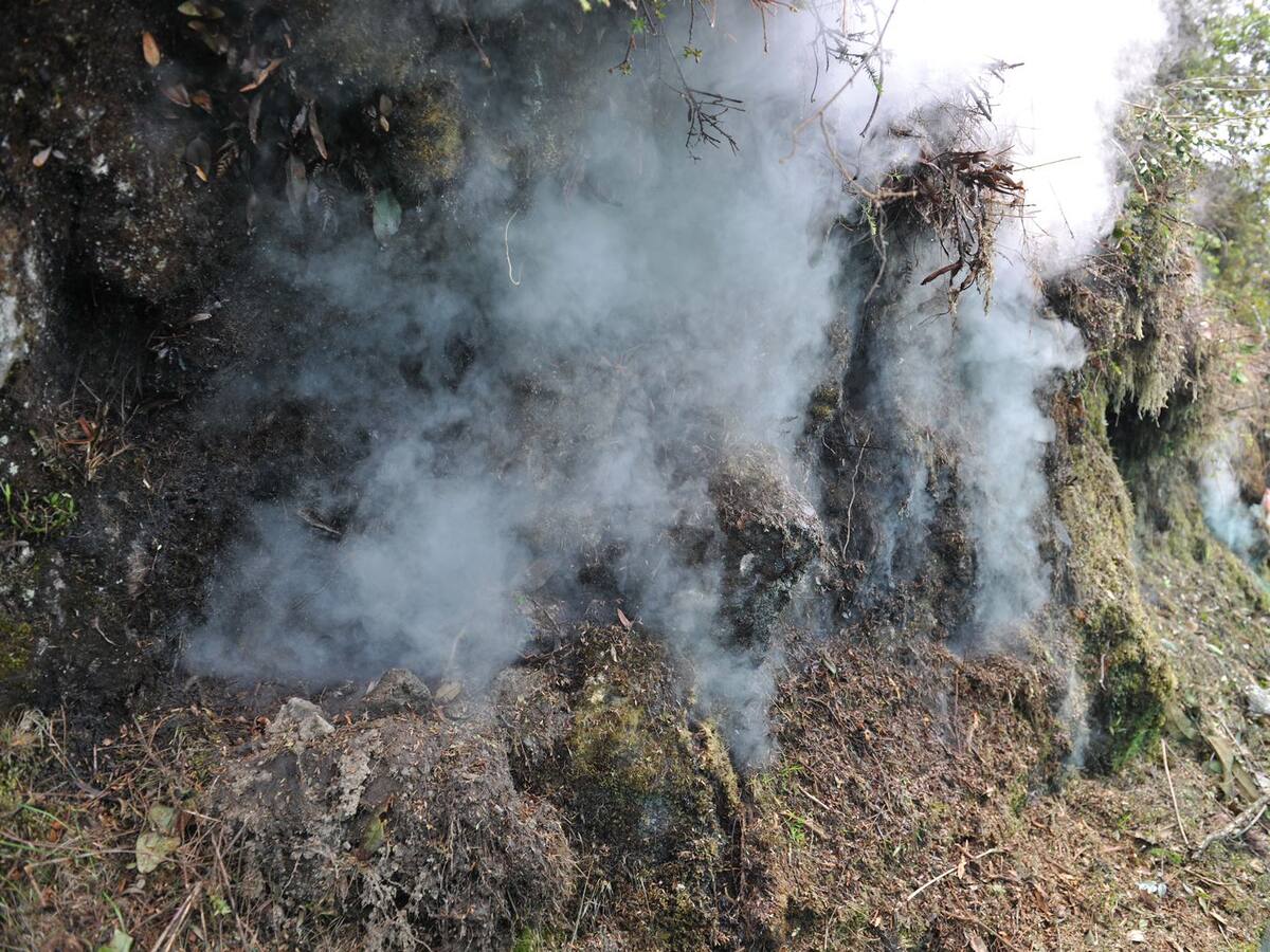 Piden al Ministerio de Minas regular tarifas de energía para Pereira por suspensión de gas