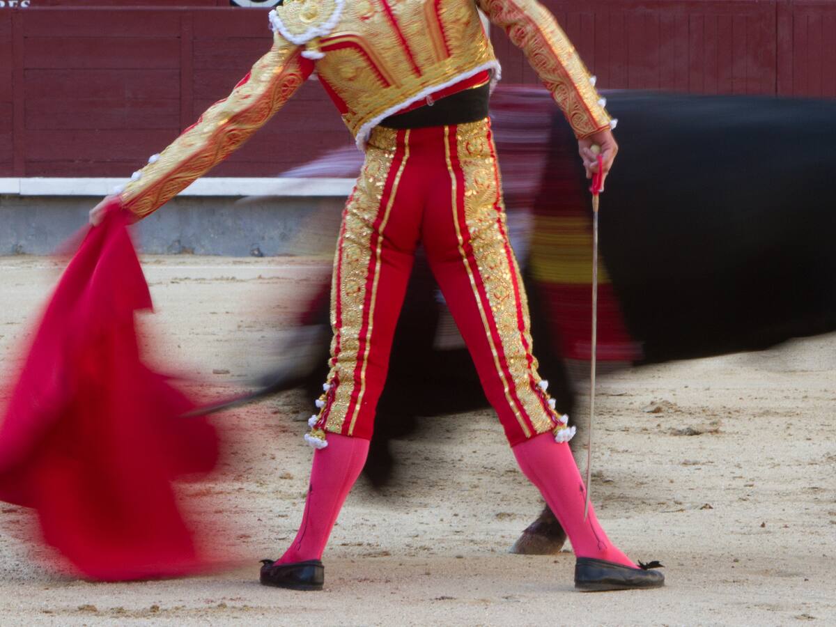 Alcaldía de Bogotá acatará sentencia que ordena reanudación de corridas de toros