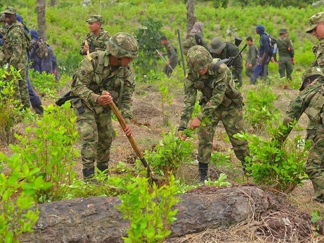 Enfrentamientos por erradicación de coca en Nariño dejaron seis campesinos muertos el pasado 5 de octubre. Foto: Colprensa