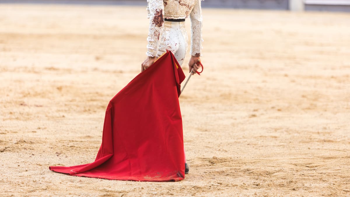 Corte admite demanda contra prohibición a corridas de toros: alegan derecho a trabajar