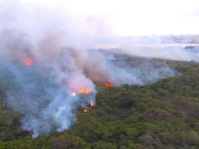 incendio en el Parque Isla de Salamanca./Cortesía