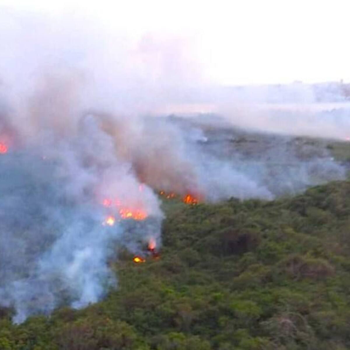 Fuerza Aérea apoya labores para controlar incendio en Parque Isla Salamanca