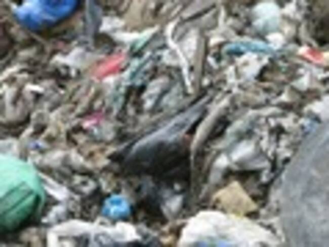 ¿Qué opina de la decisión del Gobierno de prohibir las bolsas plásticas pequeñas?