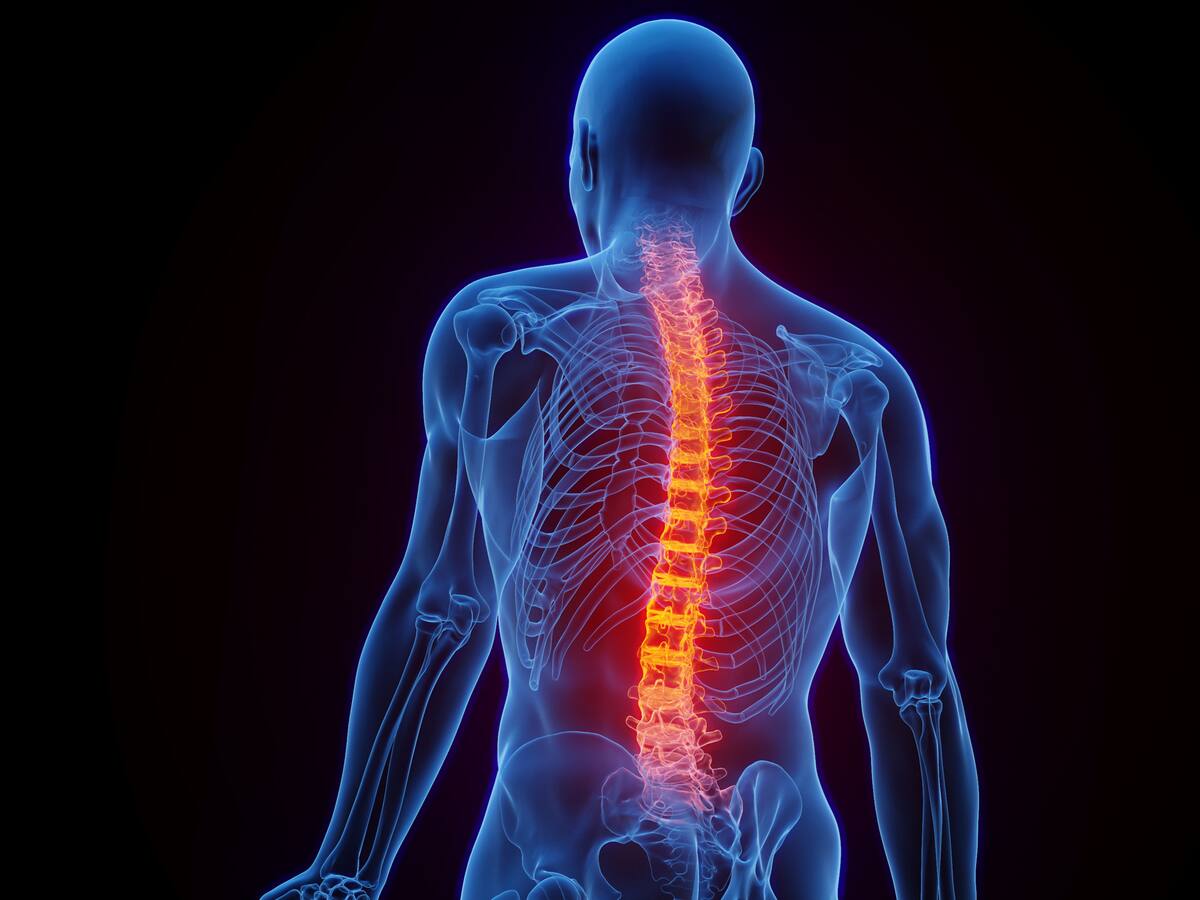 De lo más valioso de las funciones de la columna es proteger la médula espinal: doctor
