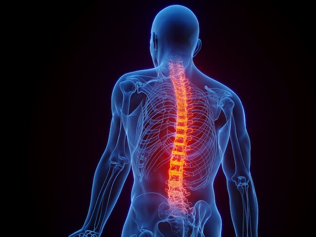 De lo más valioso de las funciones de la columna es proteger la médula espinal: doctor