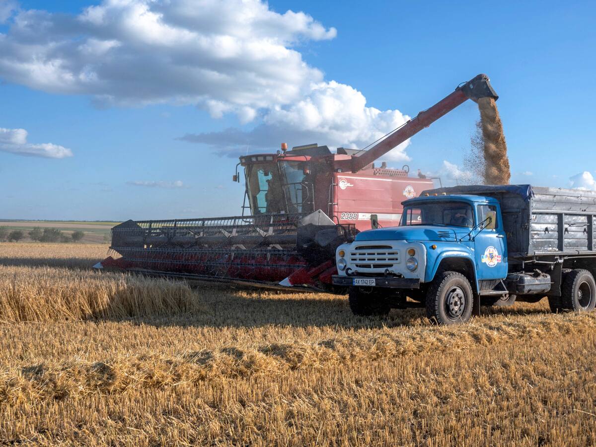 Rusia firmará acuerdo con Ucrania para exportar grano