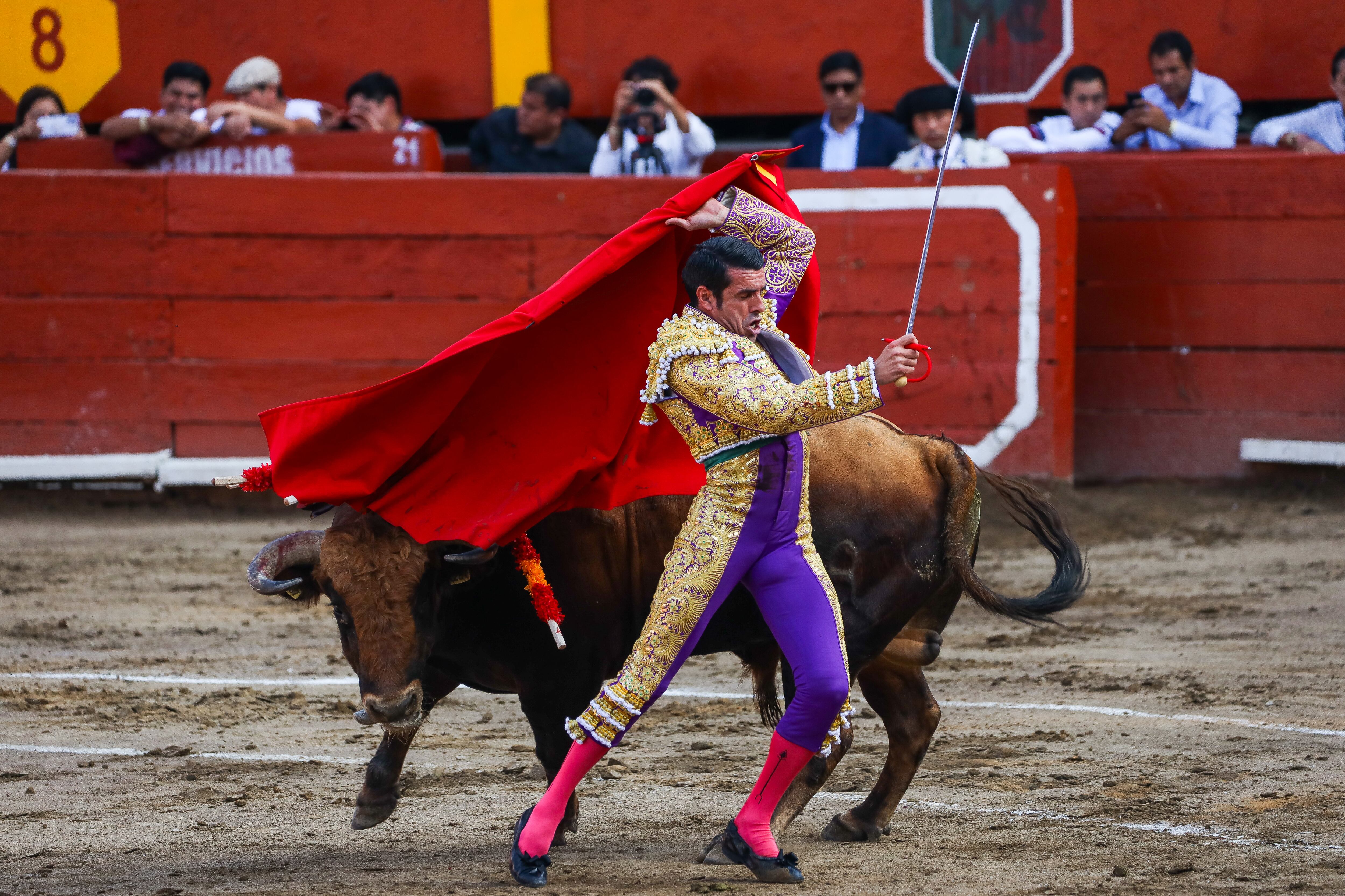 Corridas de toros. EFE/ Aldair Mejía