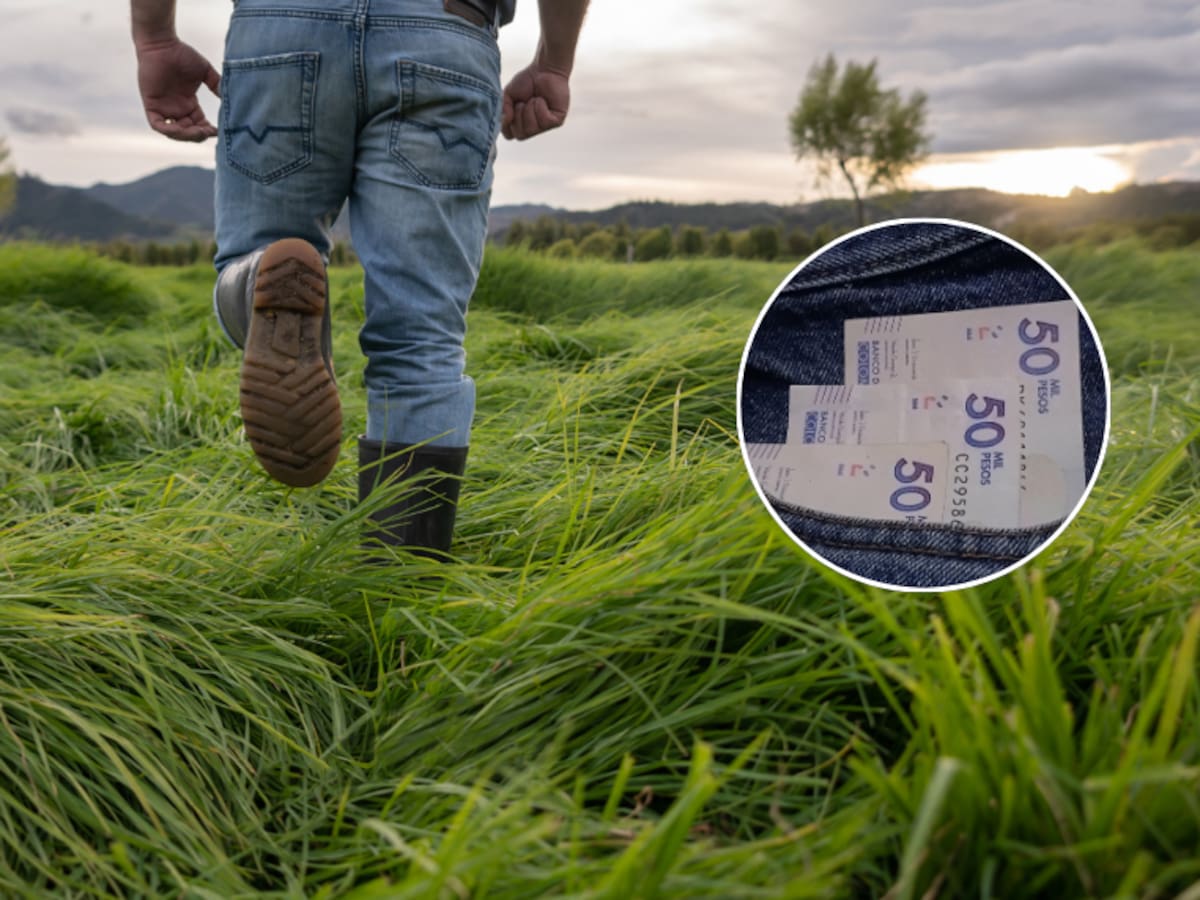 ¿Cómo saber si tiene una indemnización por desplazamiento? Le contamos