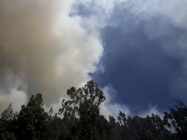 Incendio en los cerros orientales en Bogotá. Foto: Colprensa