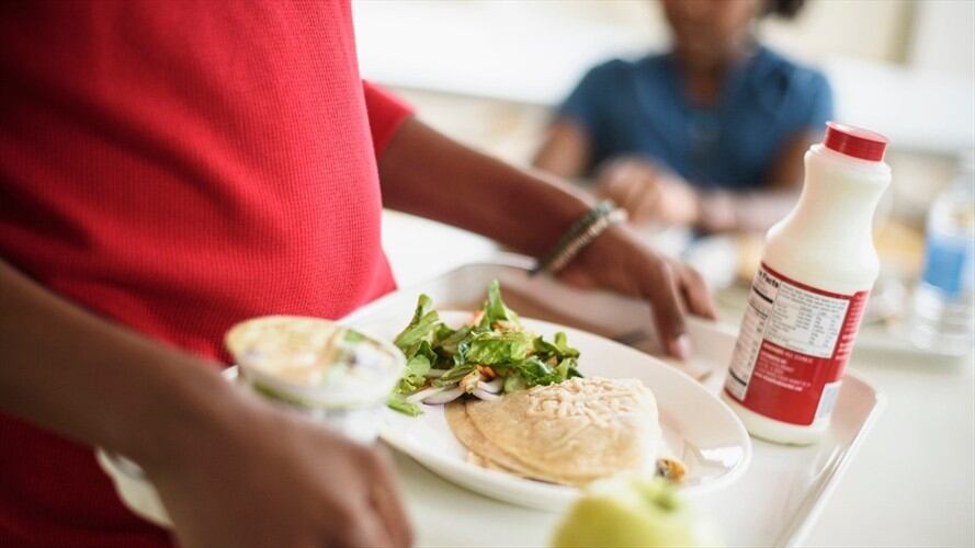 El presidente de RedVer denunció que una empresa sancionada por irregularidades en el PAE podría volver a quedarse con este contrato en Santa Marta.. Foto: