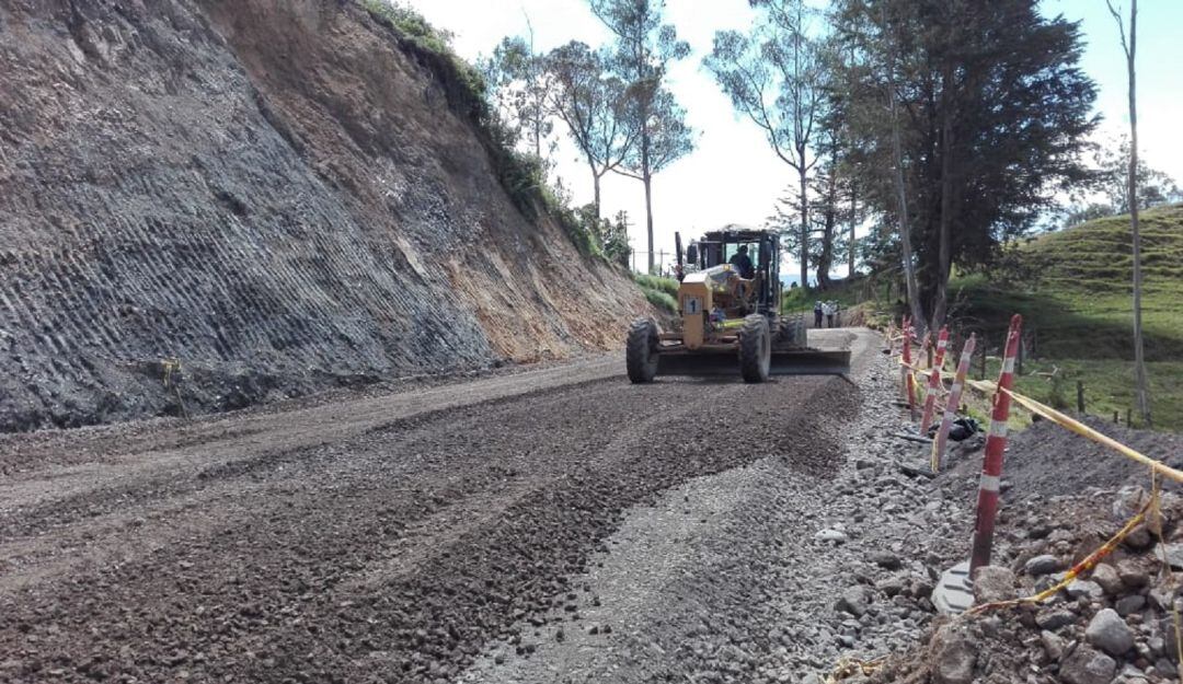 Imagen de referencia.