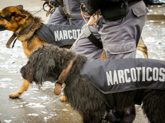 Imagen de referencia. Foto: Gettyimages