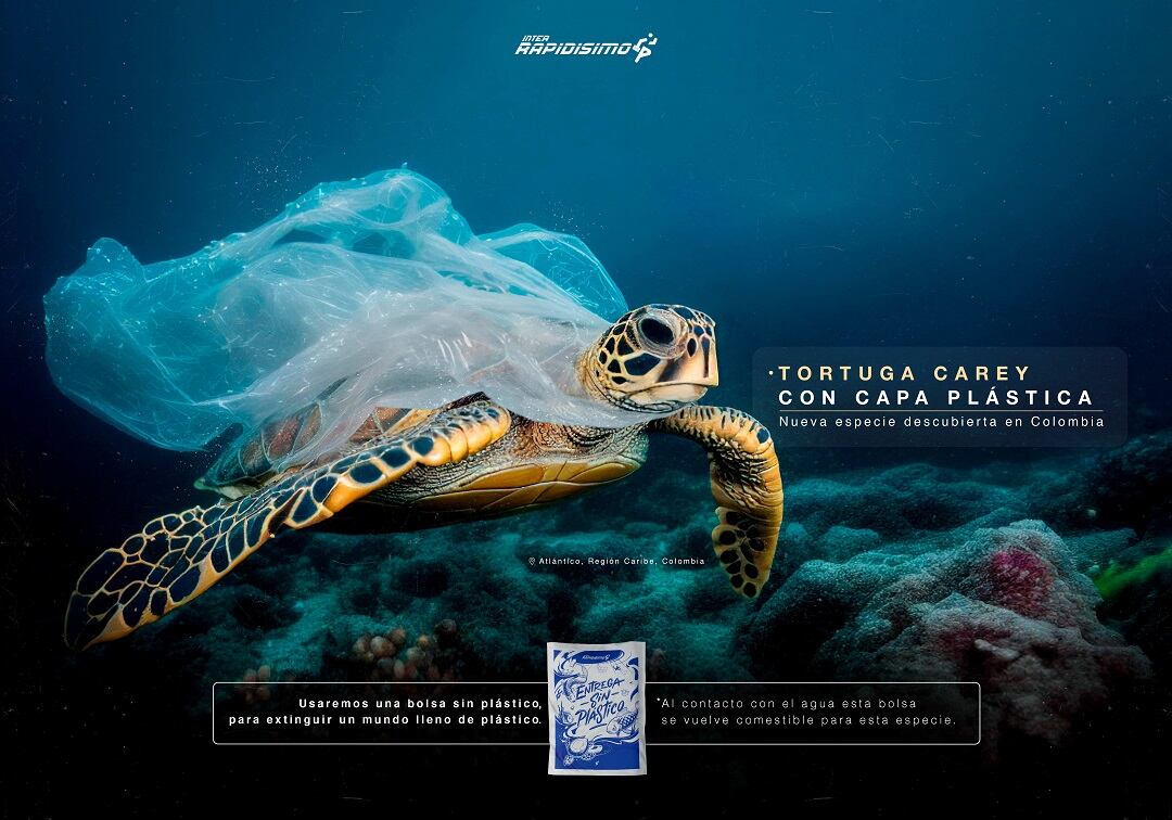 Cortesía : Inter Rapidísimo