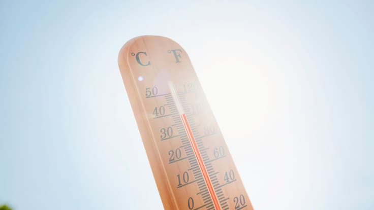 Estados Unidos sufre la peor ola de calor de su historia, ¿qué dice la ciencia?
