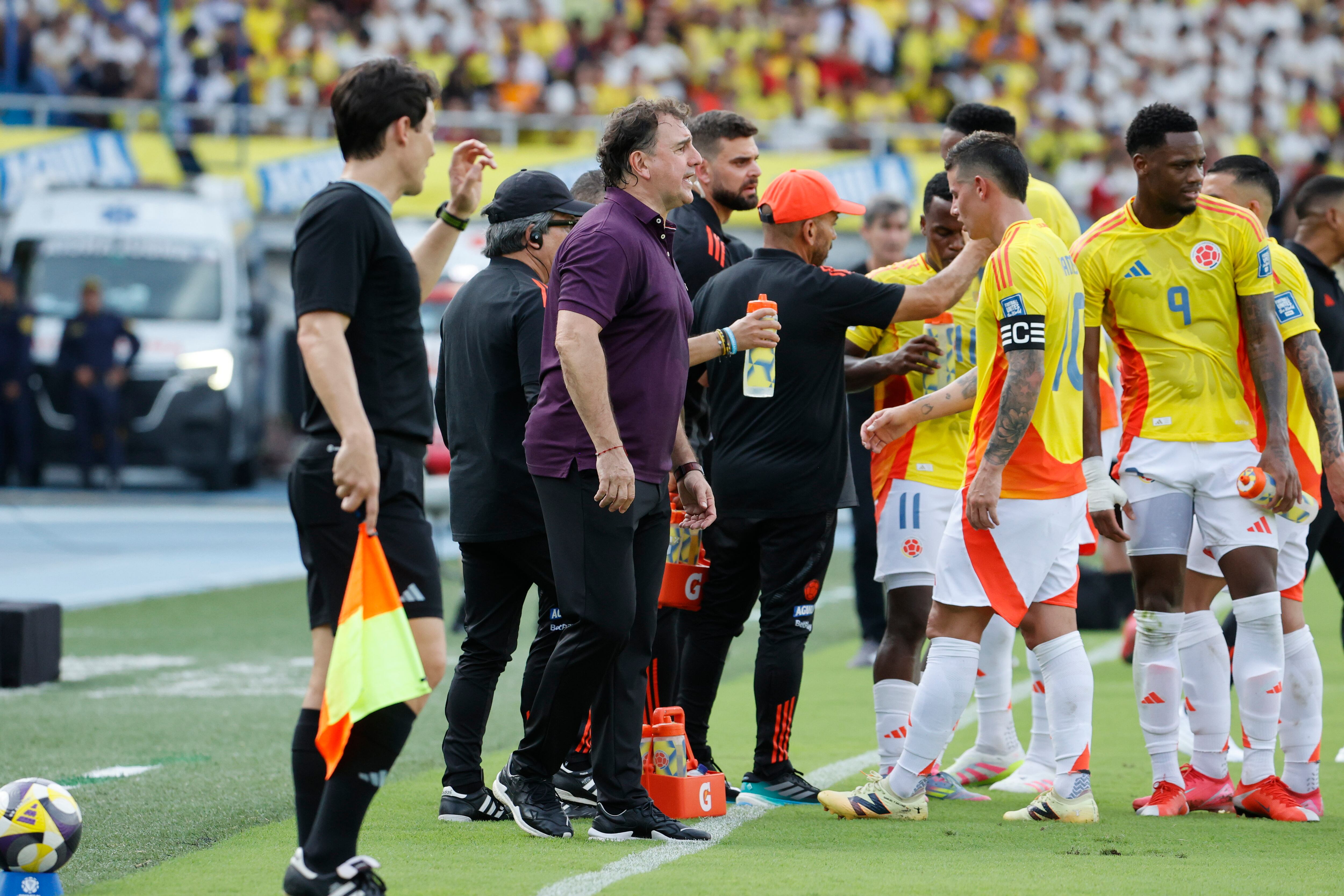 Néstor Lorenzo, técnico de la Selección Colombia. Foto: EFE/Mauricio Dueñas Castañeda